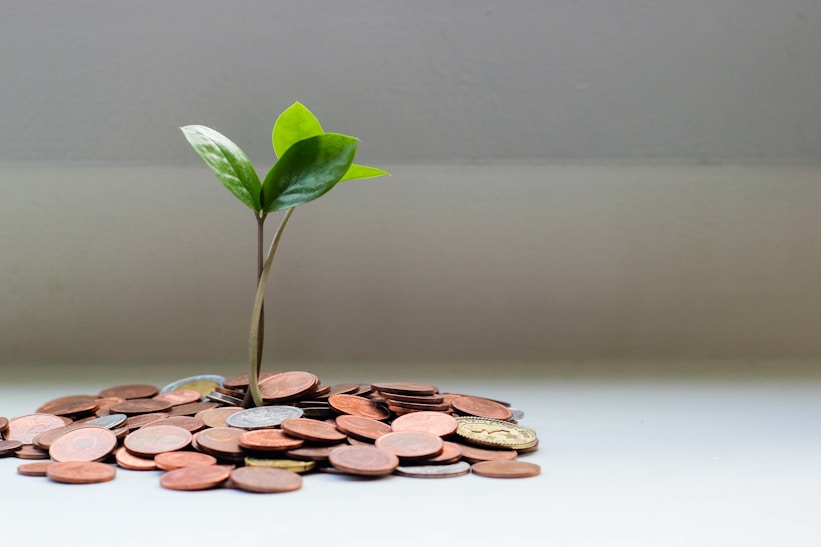 Investment / Saving