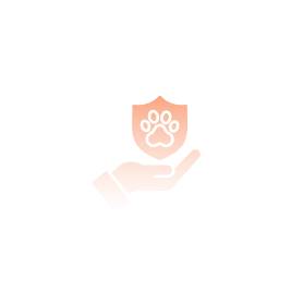 Long-Term Care Cover